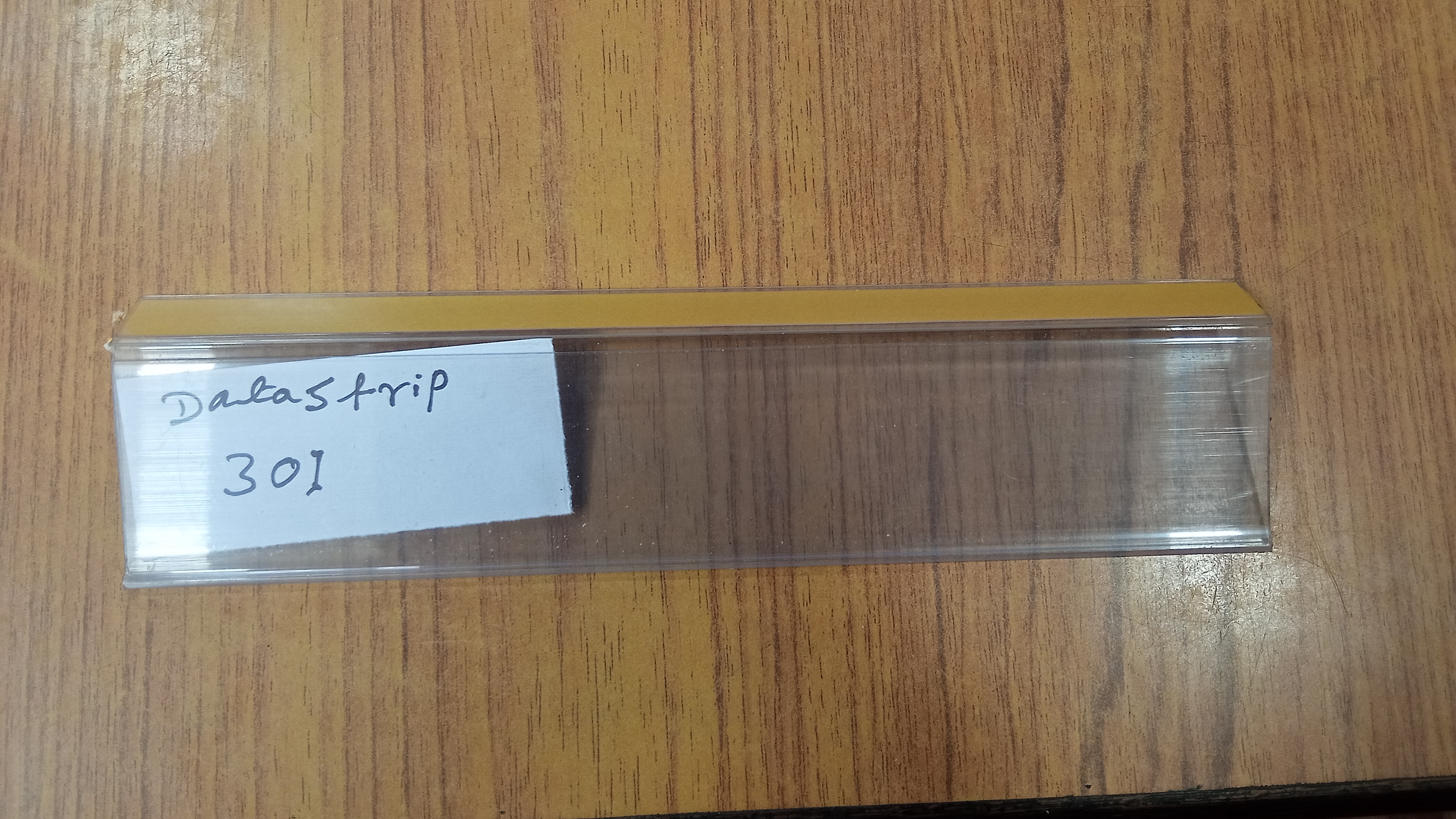 DATA STRIP 301